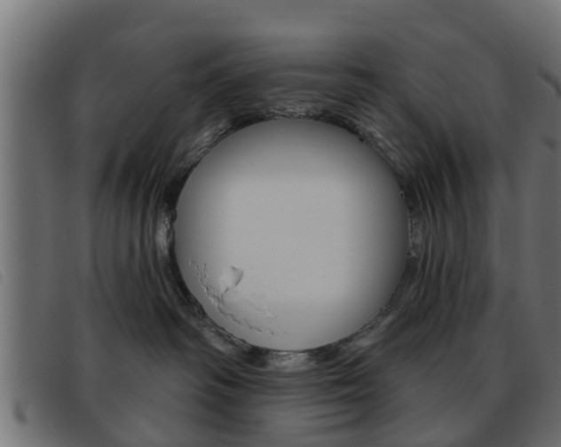 X0000093620334200710151045