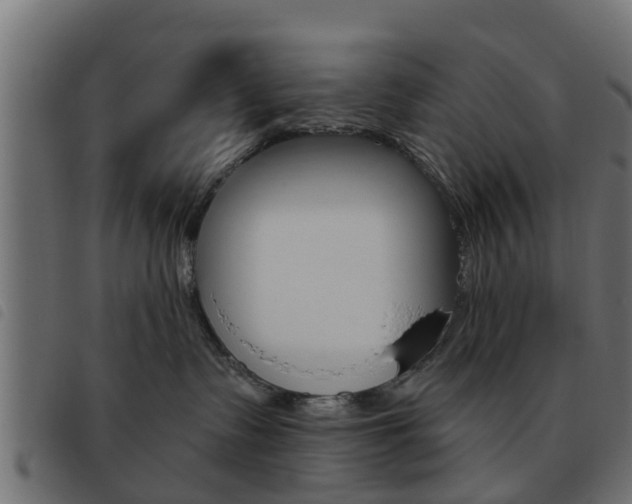X0000093620335200710151045