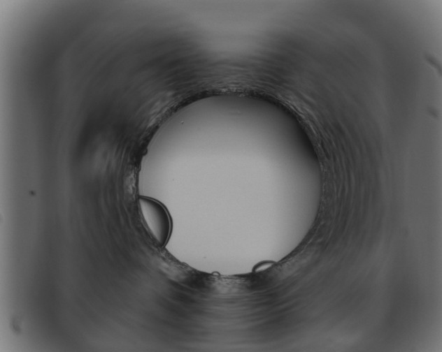 X0000093620336200710151045