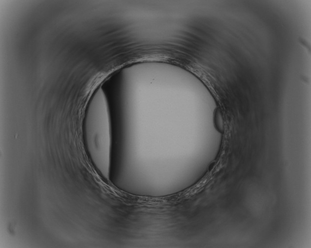 X0000093620337200710151044