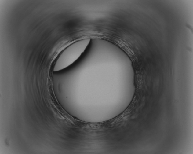 X0000093620338200710151044
