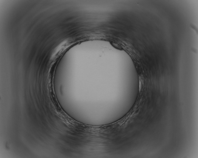 X0000093620339200710151044
