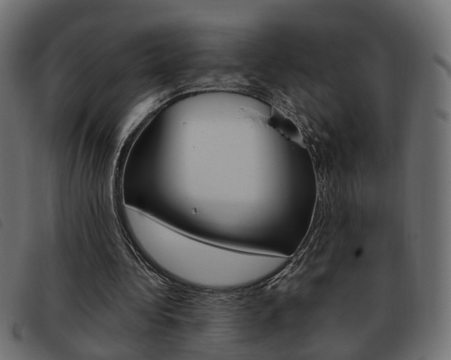 X0000093620340200710151044