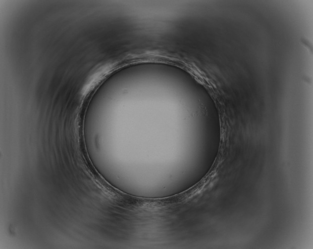 X0000093620341200710151044