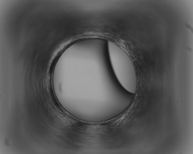 X0000093620342200710151044