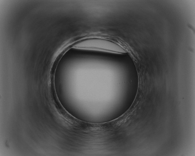 X0000093620344200710151044