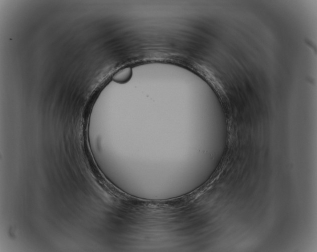 X0000093620346200710151044