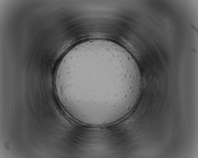 X0000093620347200710151044