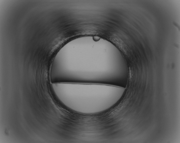 X0000093620348200710151044
