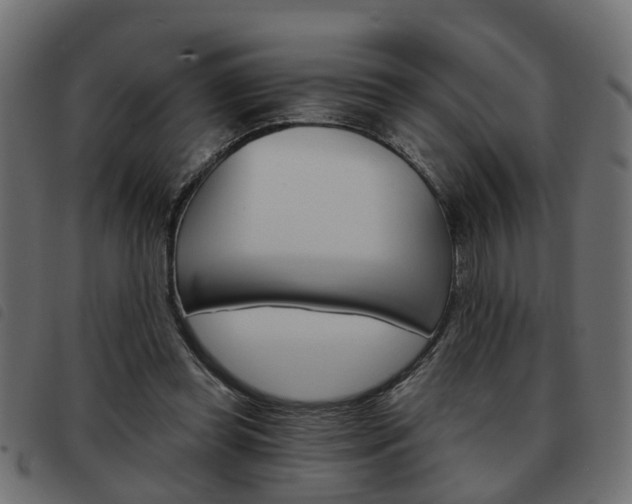 X0000093620349200710151044