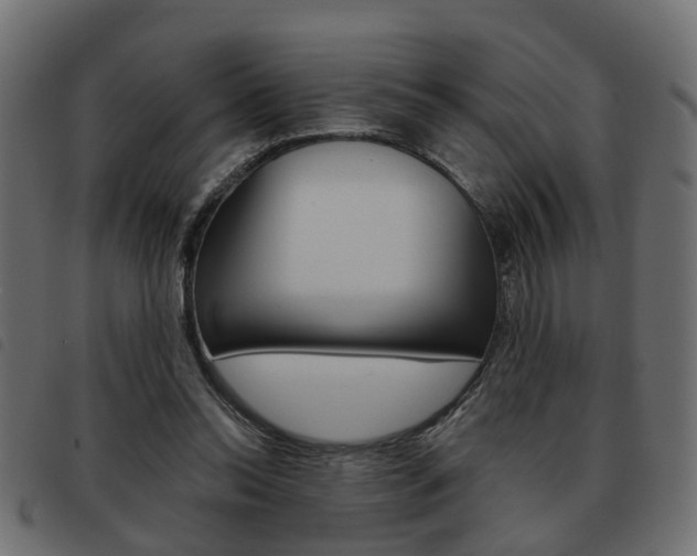 X0000093620350200710151044