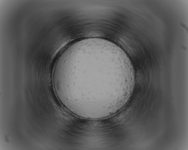 X0000093620351200710151044