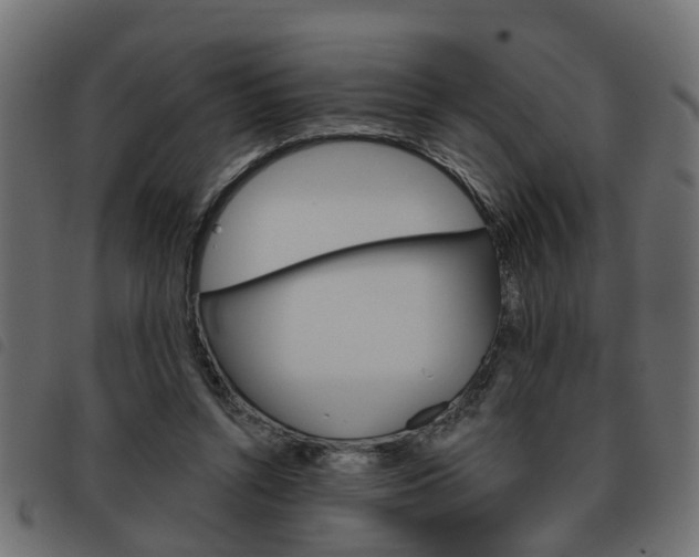 X0000093620352200710151044