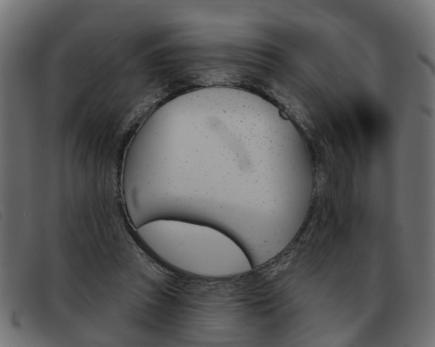 X0000093620353200710151044