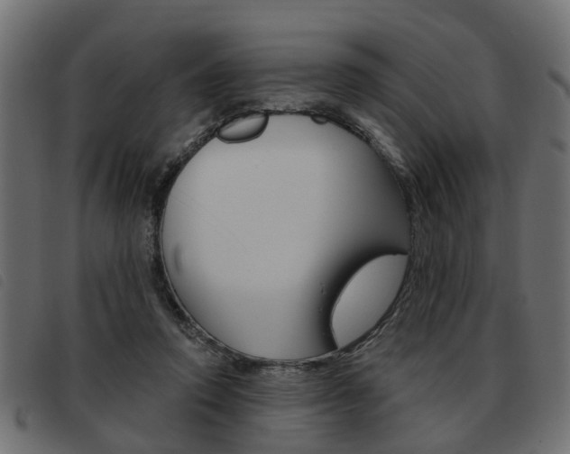 X0000093620354200710151044