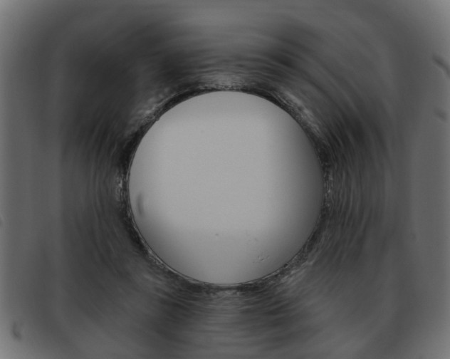 X0000093620355200710151044