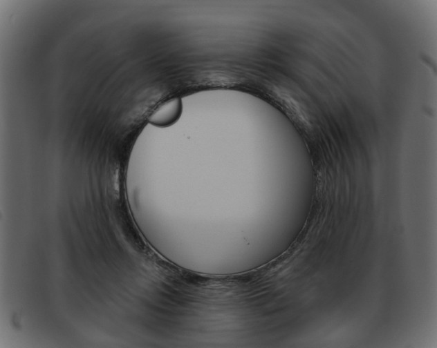 X0000093620358200710151044
