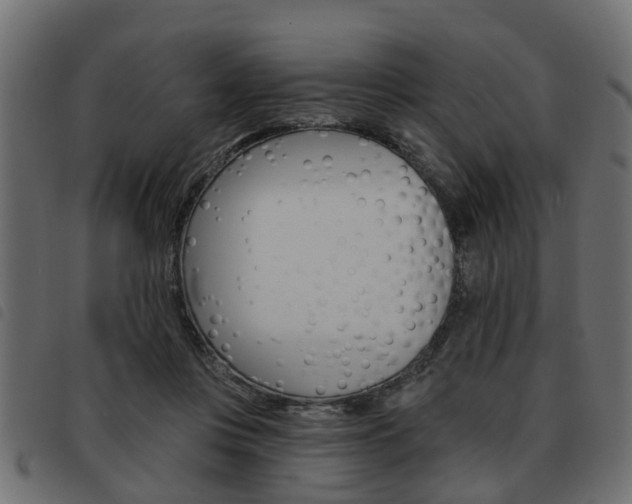 X0000093620359200710151044