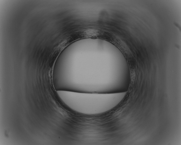 X0000093620360200710151044