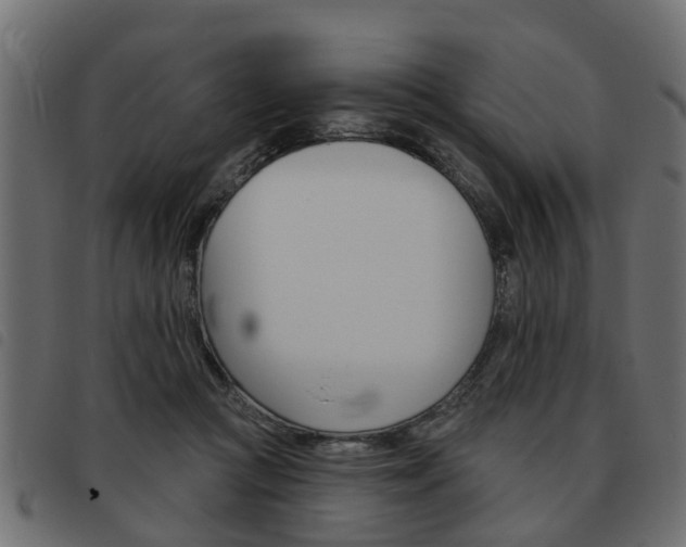 X0000093620361200710151045