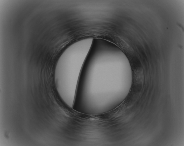 X0000093620364200710151045