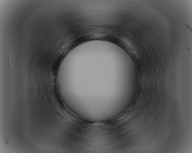 X0000093620366200710151045