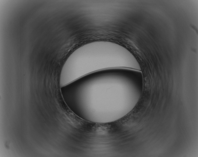 X0000093620368200710151045