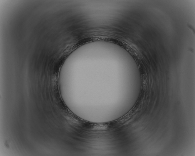 X0000093620369200710151045