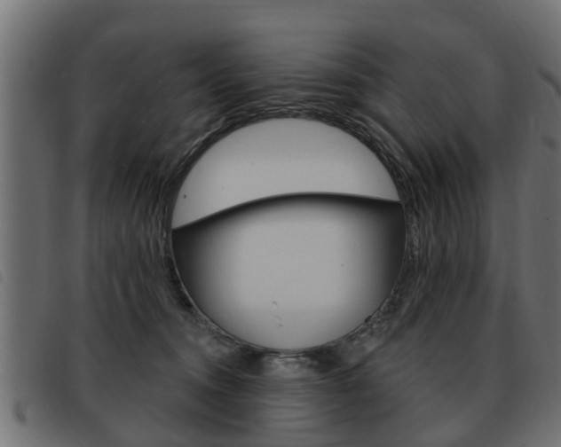 X0000093620372200710151045