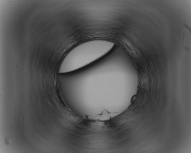 X0000093620374200710151045