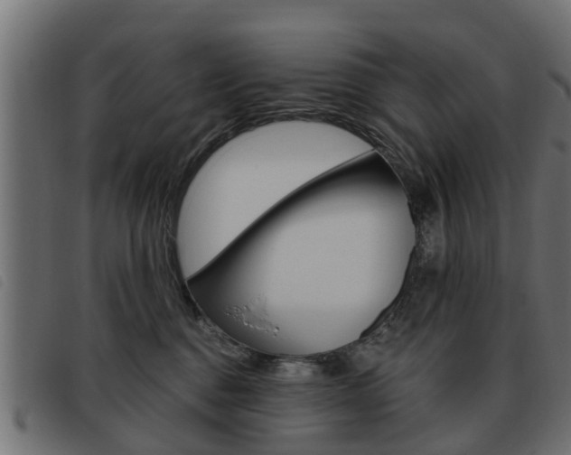 X0000093620376200710151045