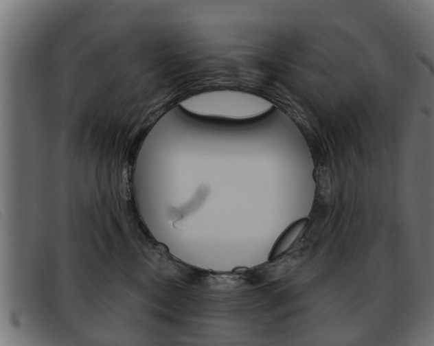 X0000093620378200710151045