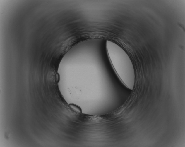X0000093620379200710151045