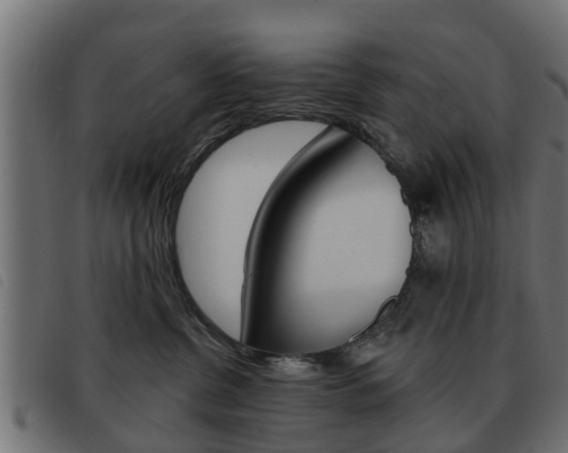 X0000093620380200710151045