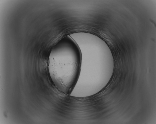 X0000093620382200710151045