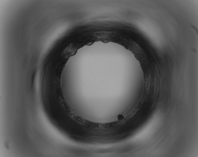 X0000093620383200710151045
