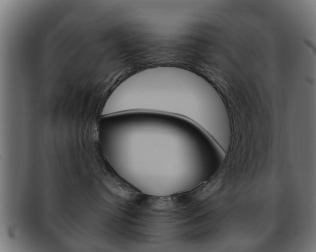 X0000093620384200710151045