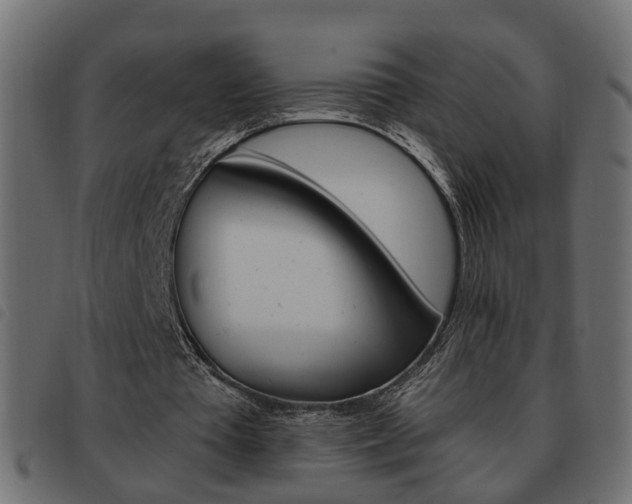 X0000093620385200710151044