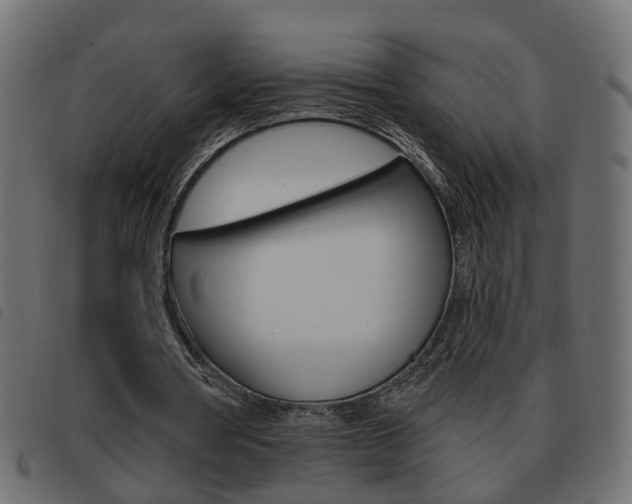 X0000093620386200710151044