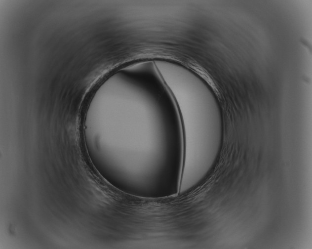 X0000093620387200710151044