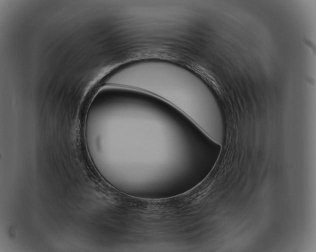 X0000093620388200710151044