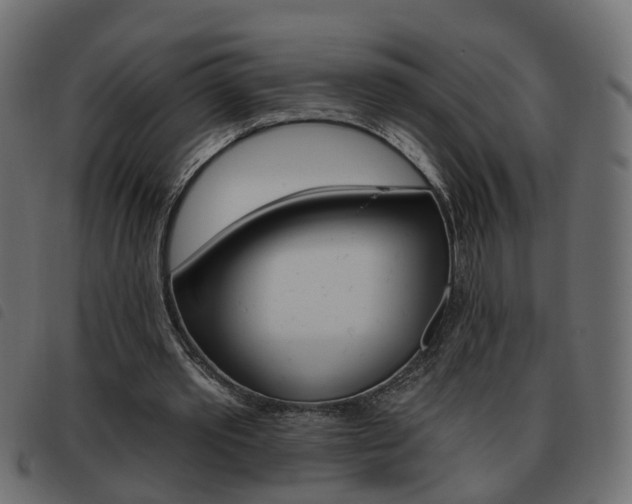 X0000093620389200710151044