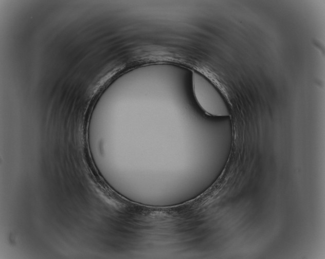 X0000093620390200710151044