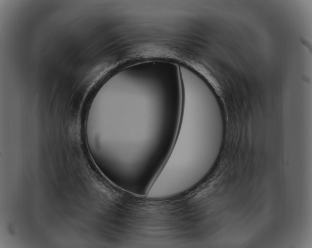 X0000093620391200710151044