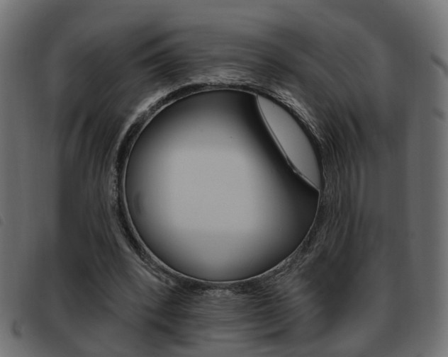 X0000093620392200710151044