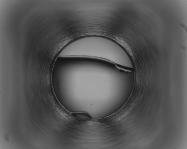 X0000093620393200710151044