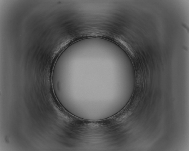 X0000093620394200710151044