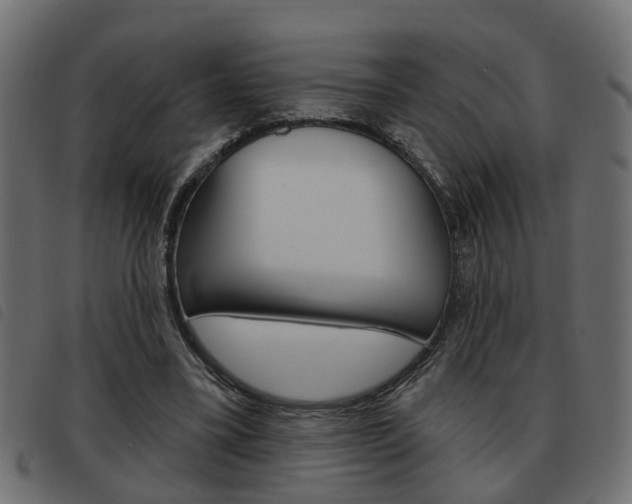 X0000093620395200710151044
