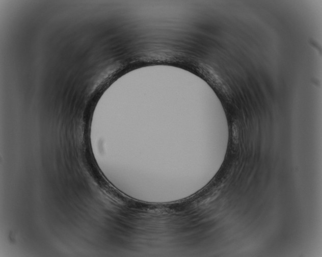 X0000093620396200710151044