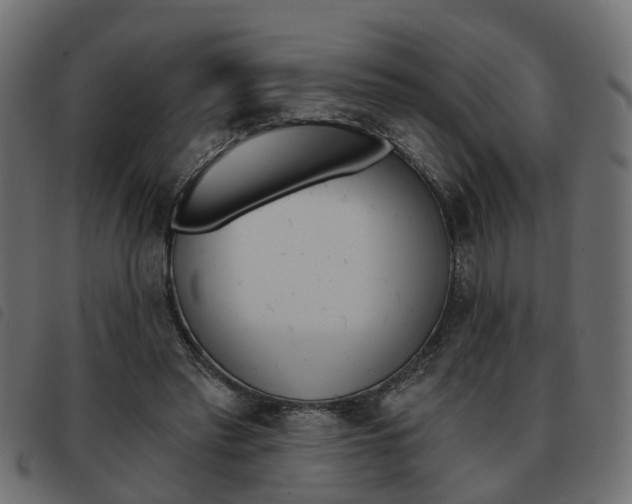 X0000093620397200710151044